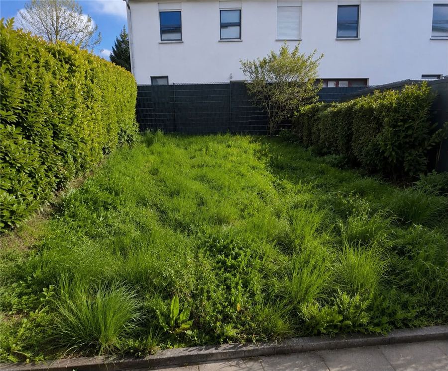 Garten eines Privatkunden voller Unkraut vor der Gartenpflege