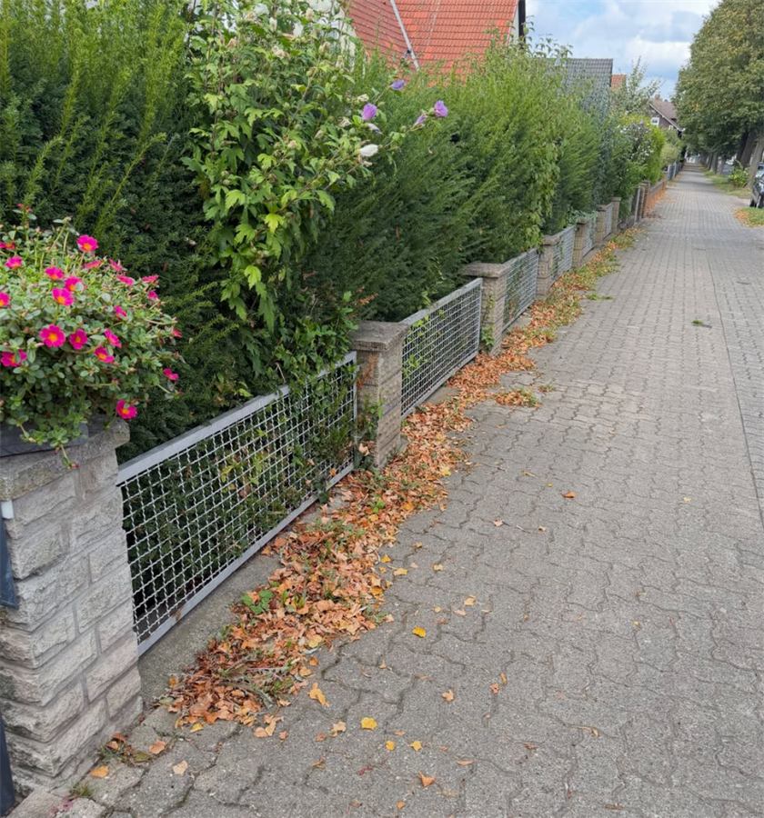 Gehweg vor dem Grundstück, mit Laub und Schmutz